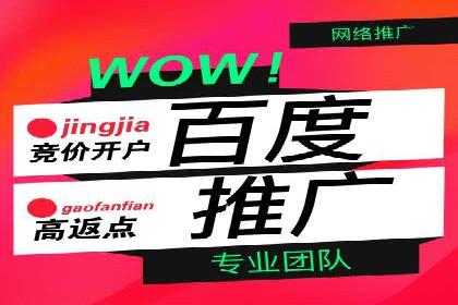 解析SEM推广代运营公司的成功案例及效果